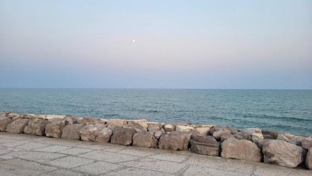 20250411_194418.jpg