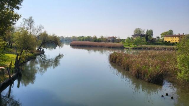 20250412_100119.jpg