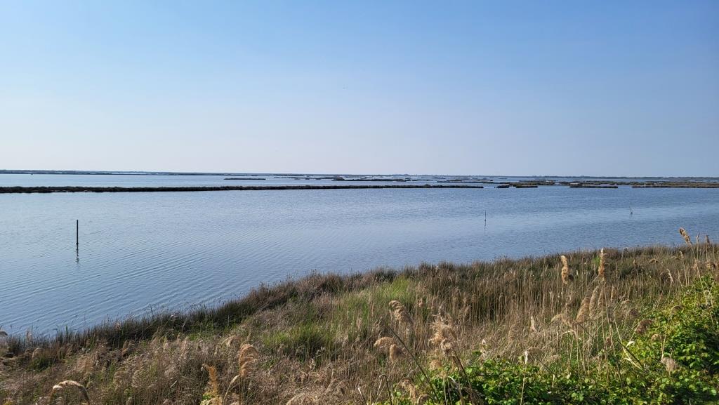 20250412_104232.jpg