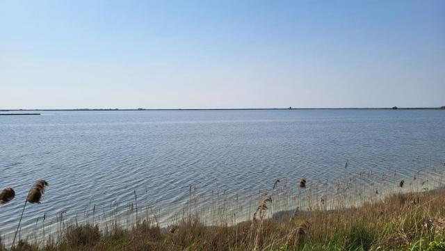 20250412_111221.jpg