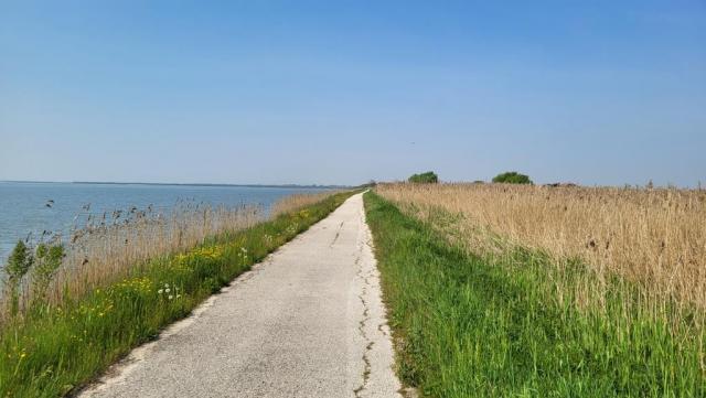 20250412_112355.jpg