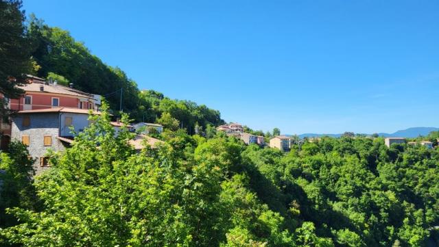 20250525_095405.jpg