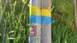 20250525_095927.jpg