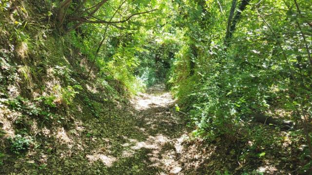 20250525_101032.jpg