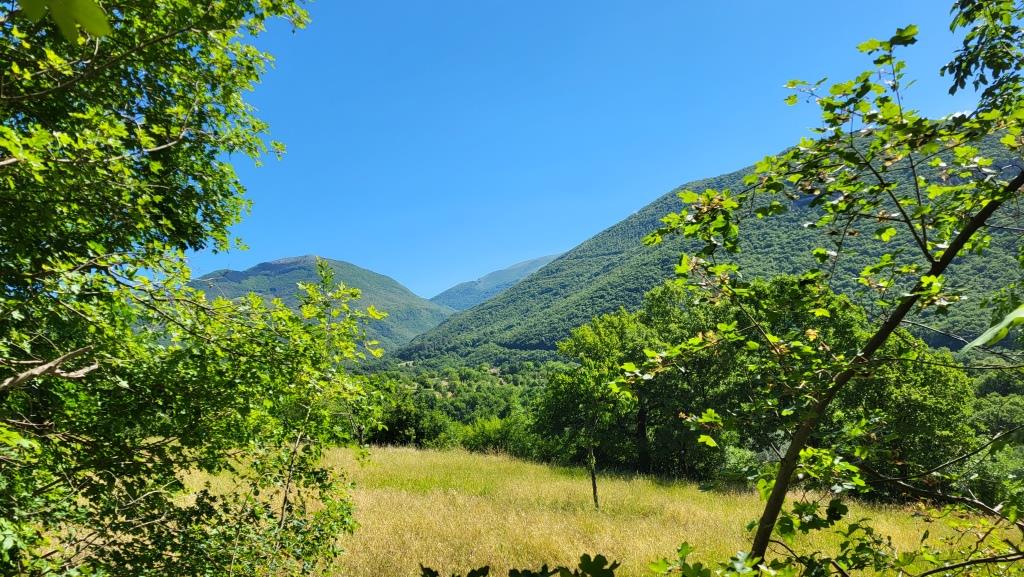 20250525_102734.jpg