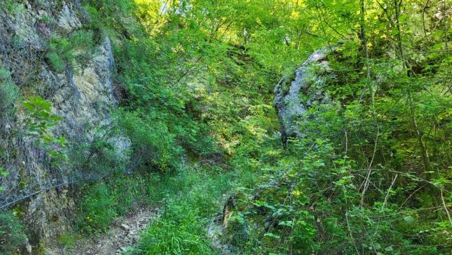 20250525_111525.jpg