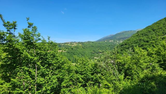 20250525_111740.jpg