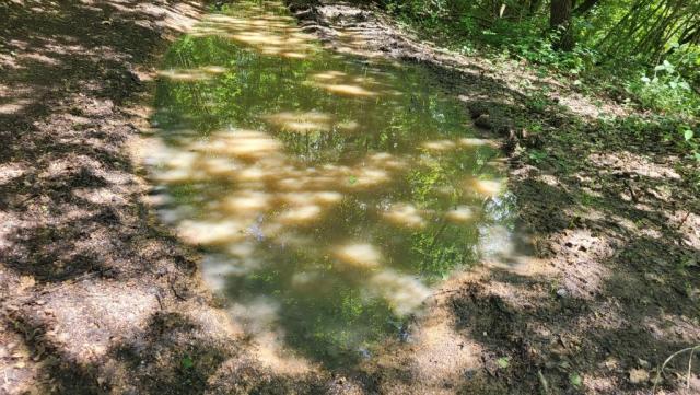 20250525_141740.jpg