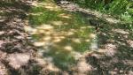 20250525_141740.jpg