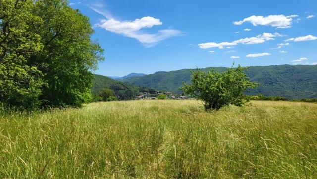 20250525_142818.jpg