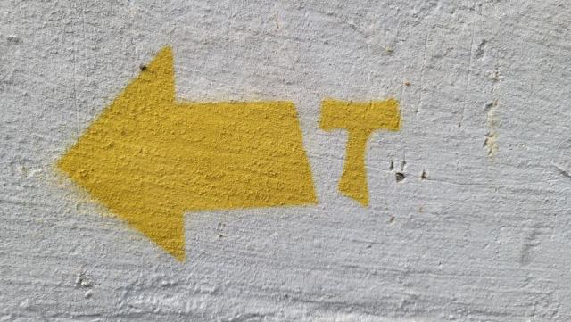20250527_091050.jpg