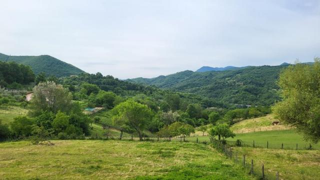 20250527_091638.jpg