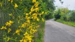 20250527_095939.jpg