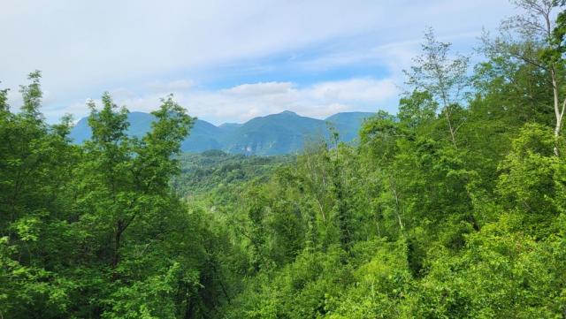 20250527_102717.jpg