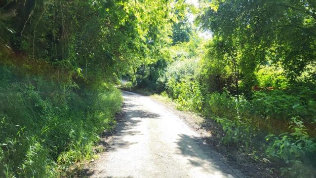 20250528_100603.jpg