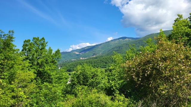 20250528_102429.jpg