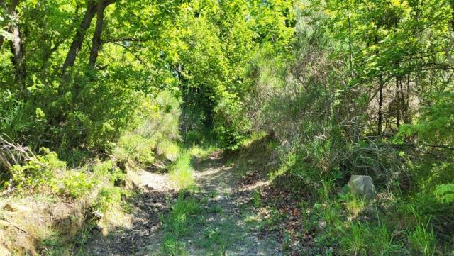 20250528_103139.jpg