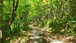 20250528_105854.jpg