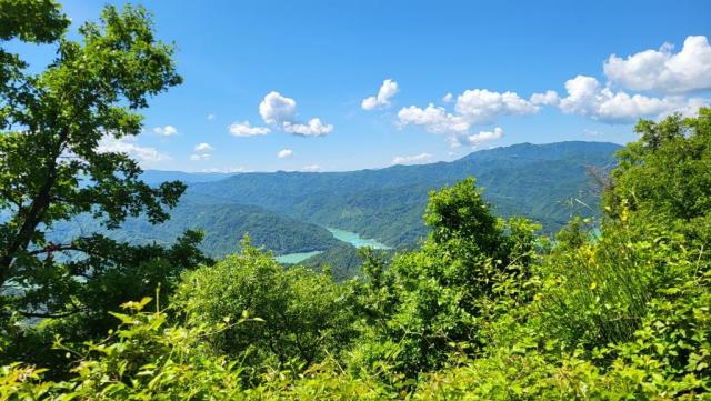 20250528_111121.jpg