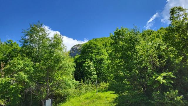 20250528_111756.jpg