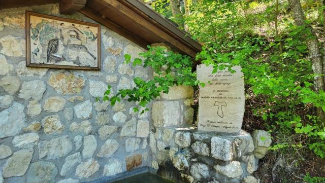 20250528_112349.jpg