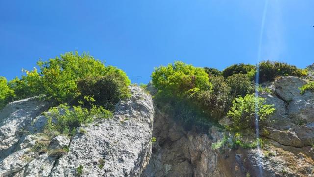20250528_114412.jpg