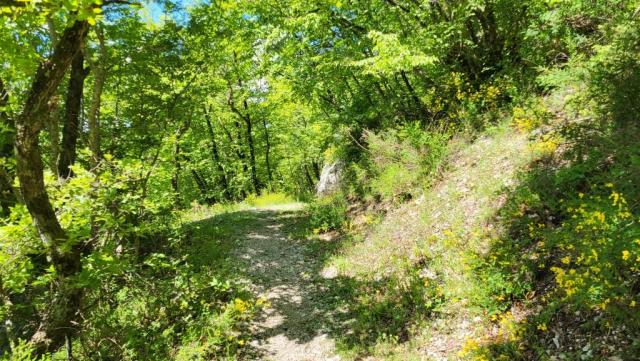 20250528_114955.jpg