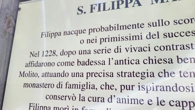 20250528_115439.jpg
