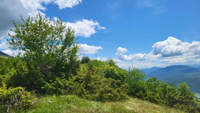 20250528_123604.jpg