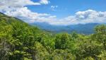 20250528_124959.jpg