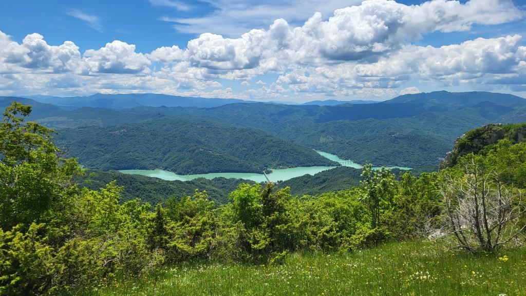 20250528_125157.jpg