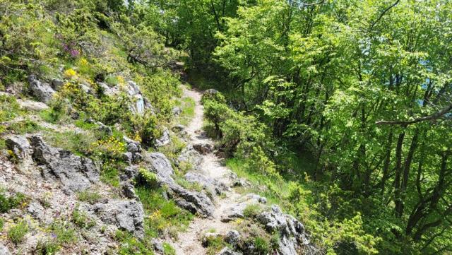 20250528_130240.jpg