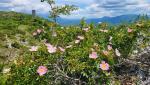20250528_135555.jpg