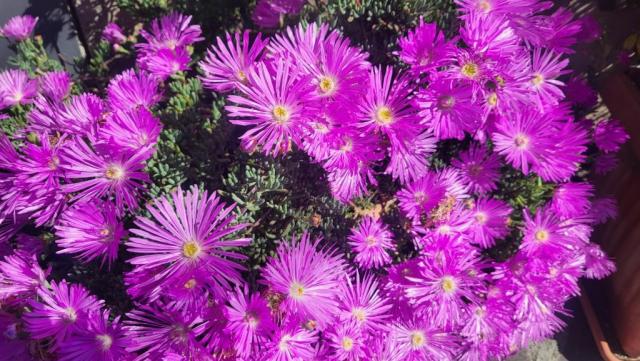 20250529_100212.jpg