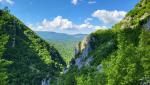 20250529_103834.jpg