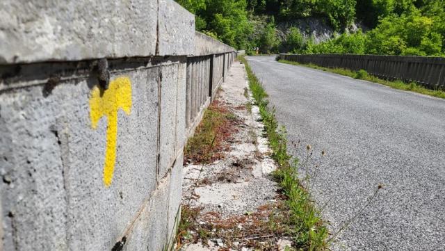 20250529_104939.jpg