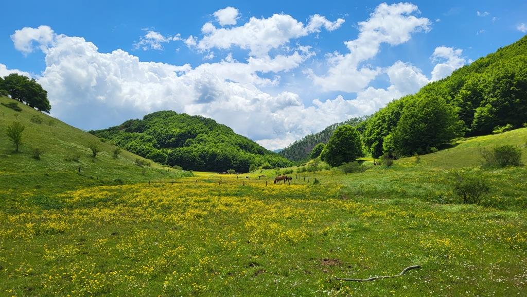 20250529_124515.jpg