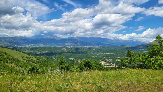 20250529_135619.jpg