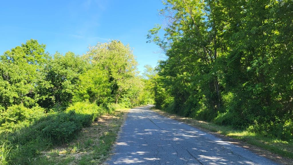 20250530_095847.jpg