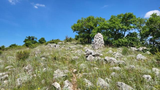 20250530_113946.jpg