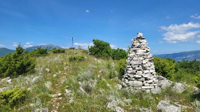 20250530_114150.jpg