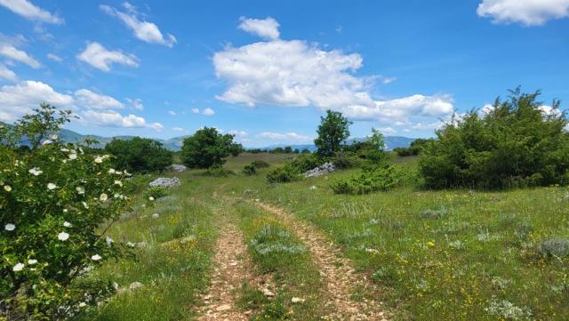 20250530_121546.jpg