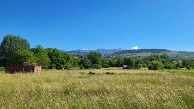 20250531_093447.jpg