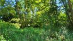 20250531_095843.jpg