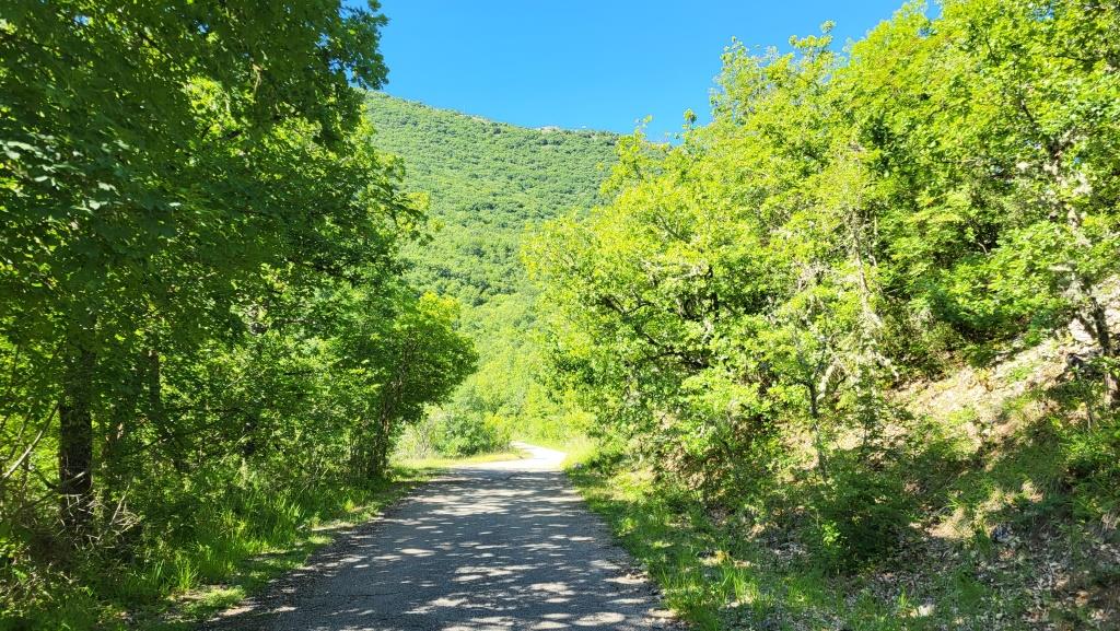 20250601_092735.jpg
