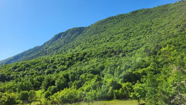 20250601_092805.jpg