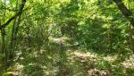 20250601_095638.jpg