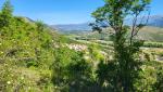 20250601_095850.jpg
