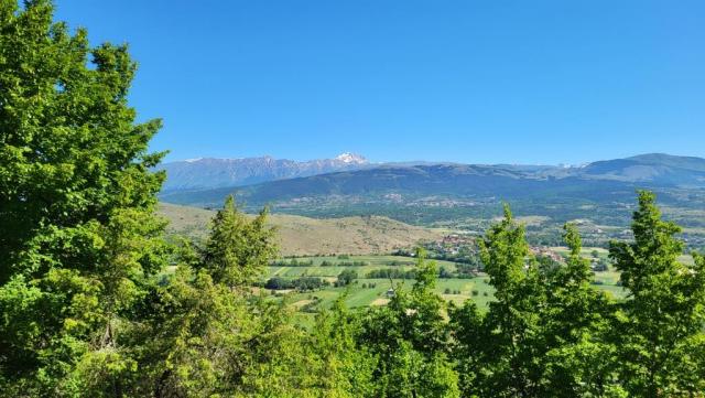 20250601_100338.jpg