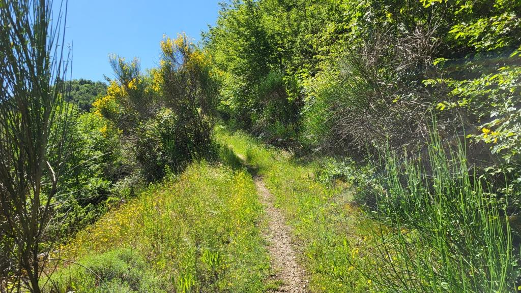 20250601_100343.jpg